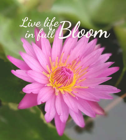 Inspirational quote & motivation backgroundの写真素材