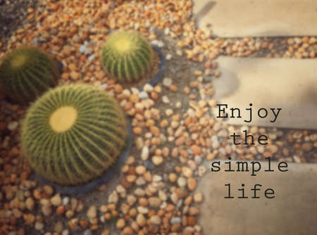 Inspirational quote & motivational backgroundの写真素材