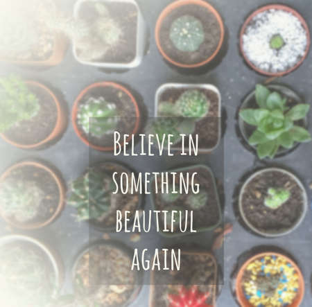 Inspirational quote & motivational backgroundの写真素材
