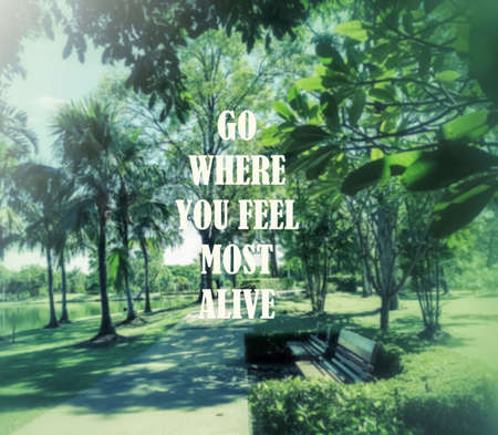 Inspirational quote on blurred backgroundの写真素材