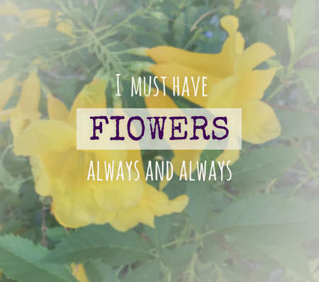 Inspirational quote on blurred backgroundの写真素材