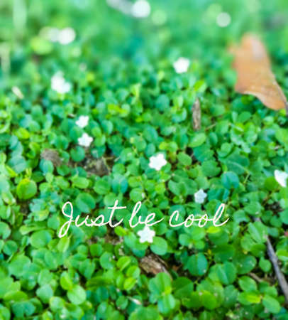 Inspirational quote on blurred backgroundの写真素材