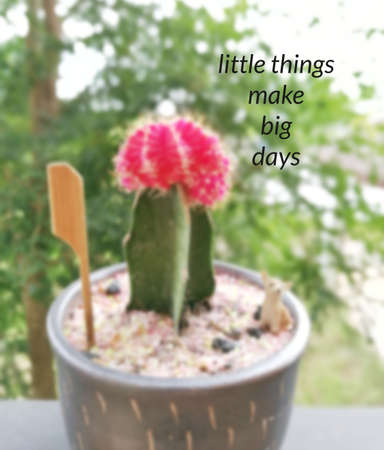 Inspirational quote on blurred backgroundの写真素材