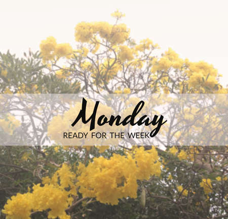 pirational and motivation quote on blurred backgroundの写真素材