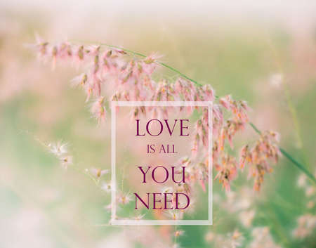 Inspirational quote & motivational backgroundの写真素材