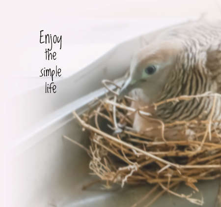 Inspirational quote on blur backgroundの写真素材