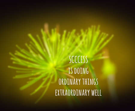 Inspirational quote & motivational backgroundの写真素材