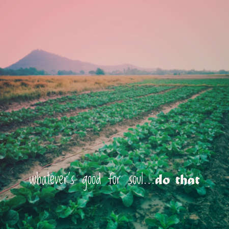 Inspirational quote & motivational backgroundの写真素材