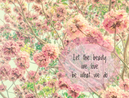 Inspirational quote and motivation backgroundの写真素材