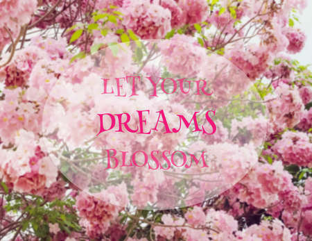 irational and motivation quote on blurred  backgroundの写真素材