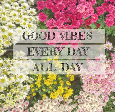 Inspirational and motivation quote on blurred flower backgroundの写真素材