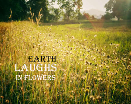 Inspirational and motivation quote on blurred flower backgroundの写真素材