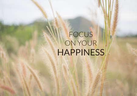 Inspirational and motivation quote on grass flower backgroundの写真素材