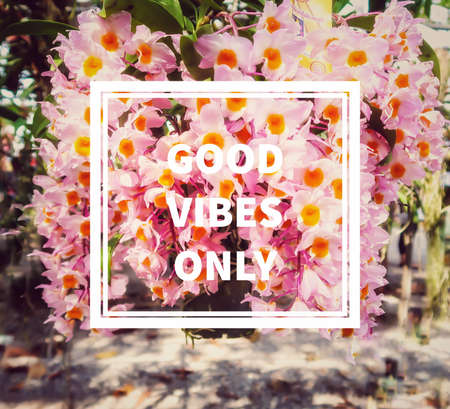 Quote- good vibes onlyの素材