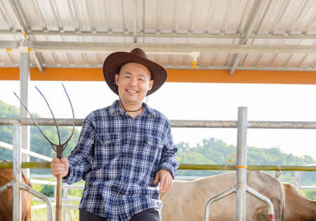 young asian farmer working in beef cattle farmの写真素材