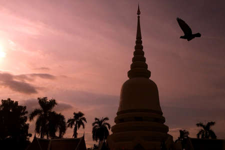 Silhouette Pagoda and bird in Bangkok, Thailandの写真素材