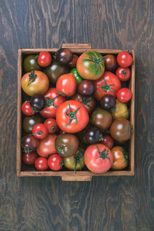 healthy and fresh delicious fruit Daejeo Tomato
