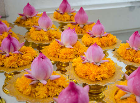 lotus flower of buddhist in templeの写真素材