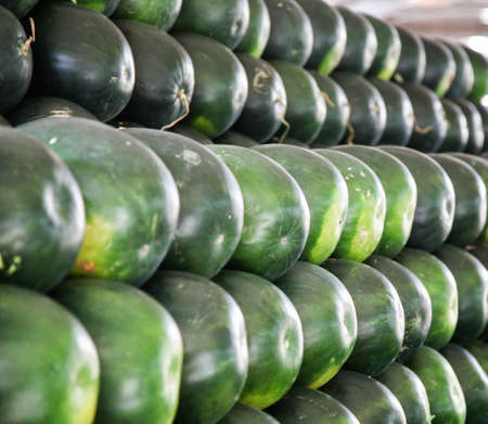 Ripe melons on a Spice souk, Dubai, United Arab Emiratesの写真素材