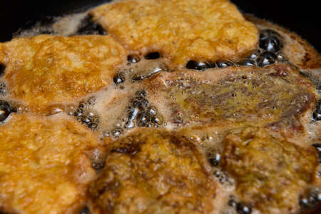 schnitzelの写真素材