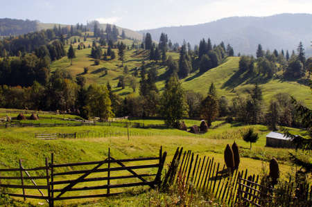 Carpathians