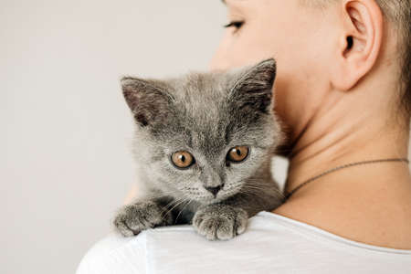 Beautiful young woman with cute cat resting at home. The British Shorthairの写真素材