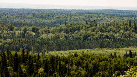 View of a forest from the Baldy Mountain Hiking Trail lookout in Duck Mountain Provincial Park,...