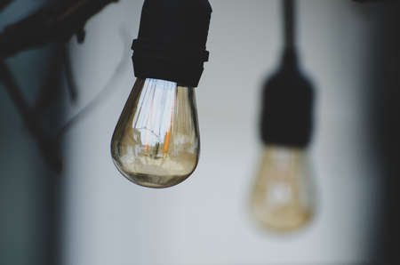 Outdoor Edison bulbs lights hanging from vines