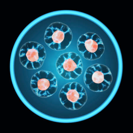 Cells Growing In A Tissue Culture Petri Dish Isolated On Black Background. Mitosis, The Process Of...
