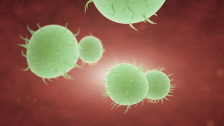 Bacteria spread inside the body. Infection And Immunodeficiency Concept