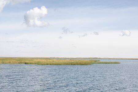 Totora Reeds On Lake Titicaca, Peruの写真素材