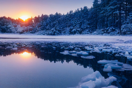Beautiful Winter Landscape with Pine Forest and Sunset Reflections in a Lake full of Ice Packの素材