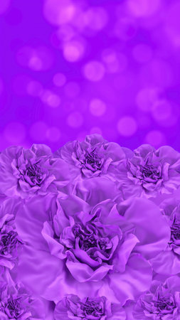 Blooming Purple Flowers on Soft Bokeh Backgroundの写真素材
