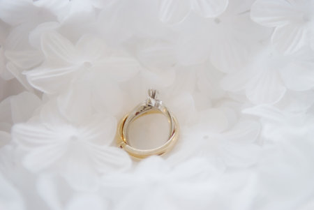 A close-up shot of an exquisite wedding ring, poised delicately on a bed of soft white petals. The contrasting gold band and the glint of the silver setting enhance the photo's romantic and luxurious feelの写真素材