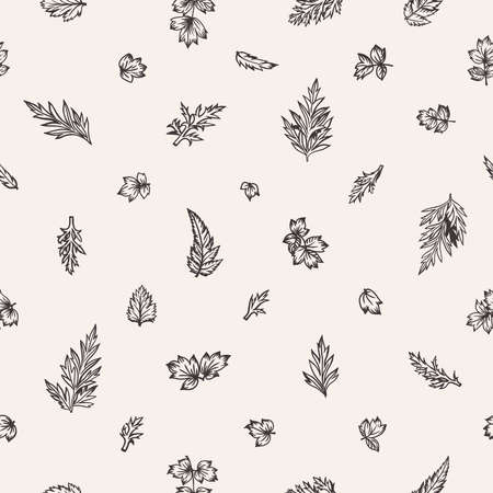 Seamless pattern with leaves and herbs. Little forest.  Vector botanical illustration. Black and white.のイラスト素材