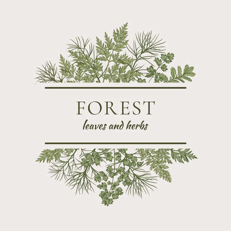 Botanical card with bouquet with leaves and herbs. Vector illustration. Vintage frame. Green background.のイラスト素材