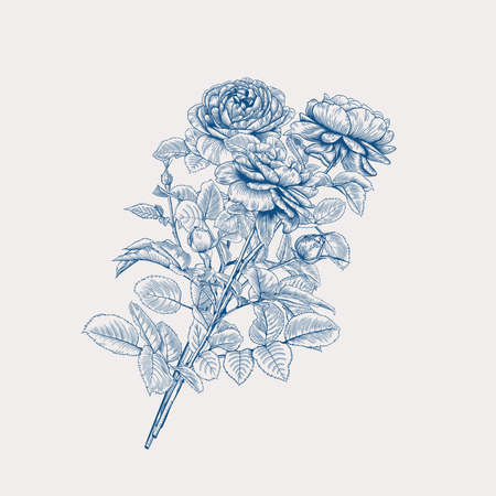 Vintage bouquet of roses. Floral vector illustration. Classic blue and white.のイラスト素材