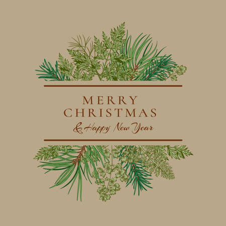 Botanical card with bouquet with coniferous branches and greenery. Vector illustration. Beige background and colorful pattern.のイラスト素材