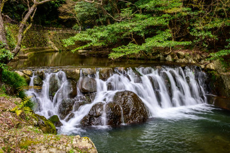 A tranquil waterfall flows over mossy rocks in a serene forest in Minoh National Park, Osaka, Japan. The scene evokes traditional Japanese landscape aesthetics.の写真素材