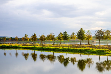 Scenic Lake with Tree Reflections on a Calm Sunny Day in Chishang, Taiwanの写真素材