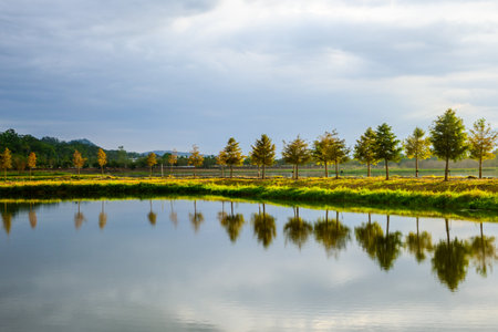 Scenic Lake with Tree Reflections on a Calm Sunny Day