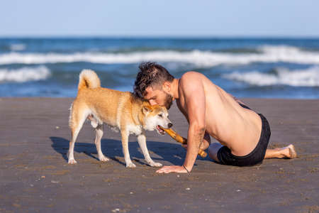 A young caucasian man playing with his dog and kissing him on the head while he bites a wooden stickの写真素材