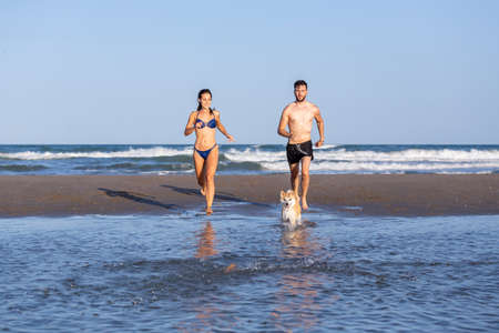 A young caucasian couple running on the shore of the beach with their dog on a sunny beach dayの写真素材