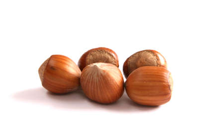 Hazelnuts on white