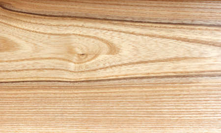 Distinct structure of ash wood close upの写真素材