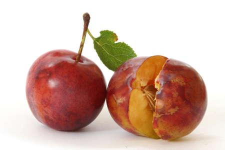 Three fresh plums on white background - one openedの写真素材