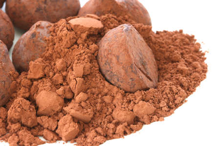Chocolate truffle pralines sweets in cocoa powder heap on white plate and backgroun の写真素材