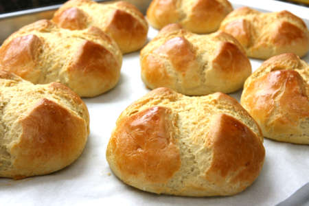 Home made bunsの写真素材