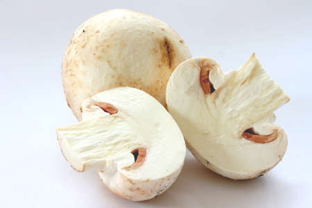 Cut raw mushrooms agarics on grey backgroundの写真素材