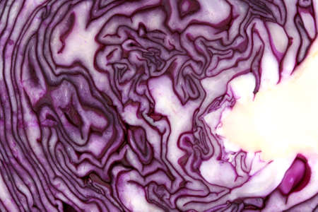 Inside raw red cabbage texture and patter close upの写真素材
